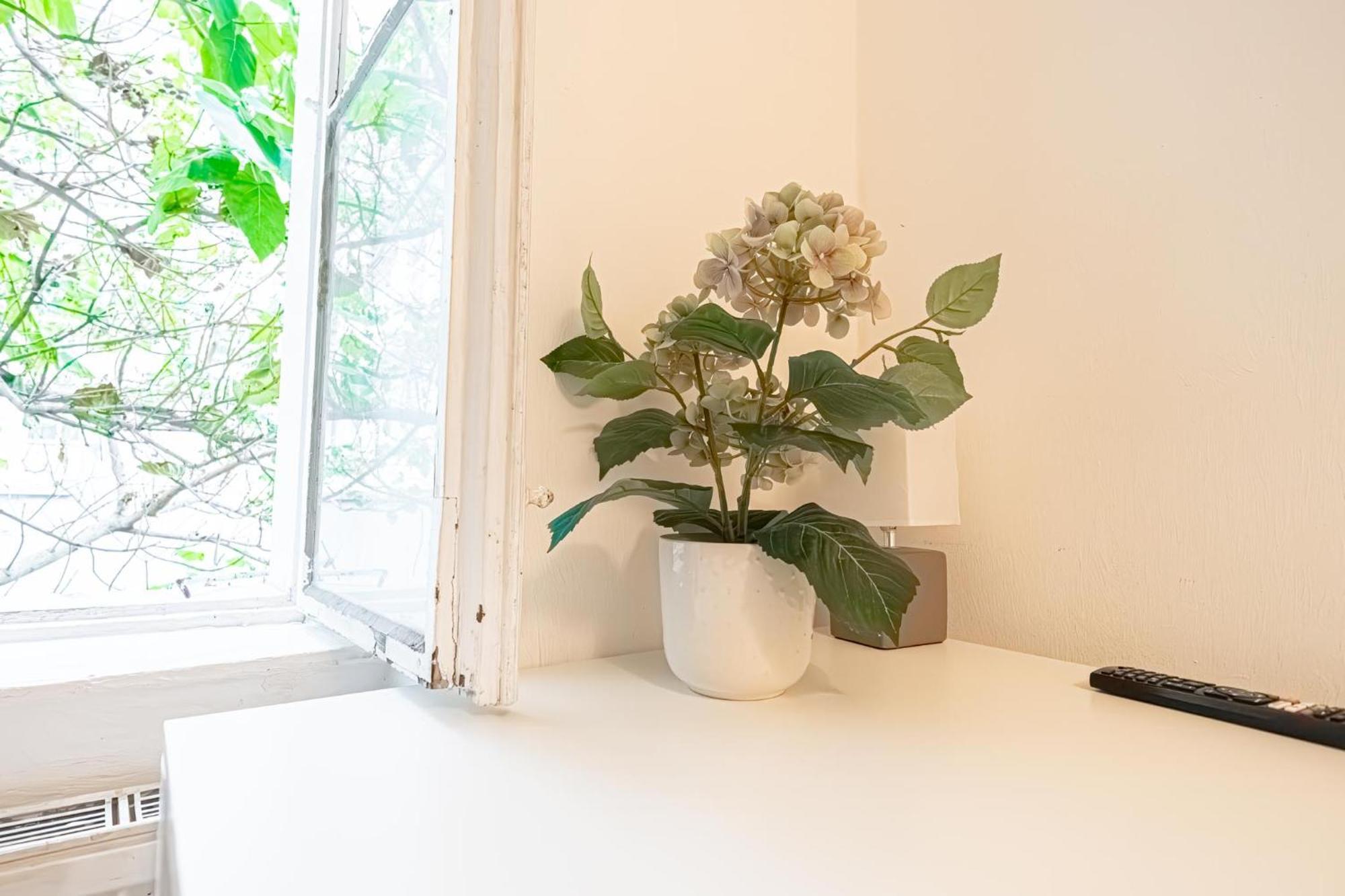 Central Belvedere 3Br Shared Apartment - 12 Min From City Center Wien Exteriör bild